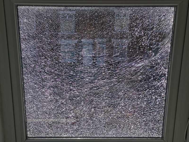 Smashed glass bedlington (3)